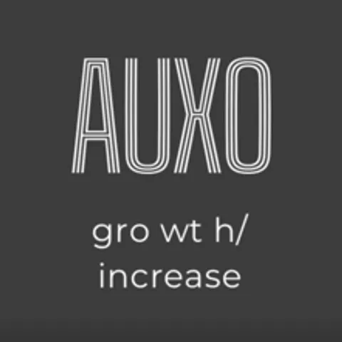 AUXO 