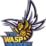THE WASP WARRIORS