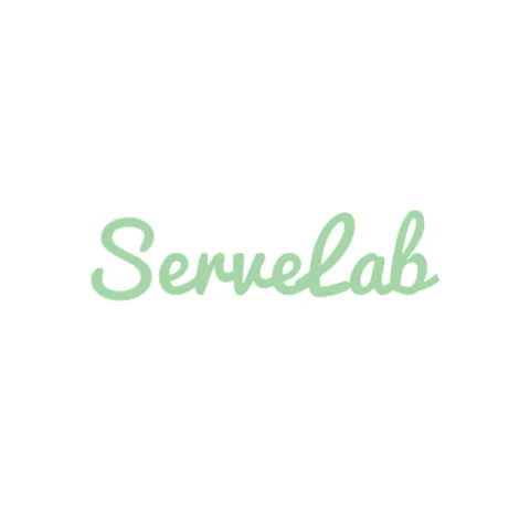 ServeLab_Pickleball