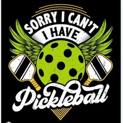 Johor bahru Dazzling pickle ball entertainment 