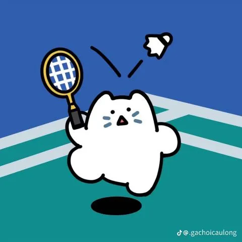 Badminton Chicken (Q.6)