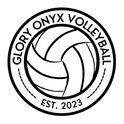 Go Volley