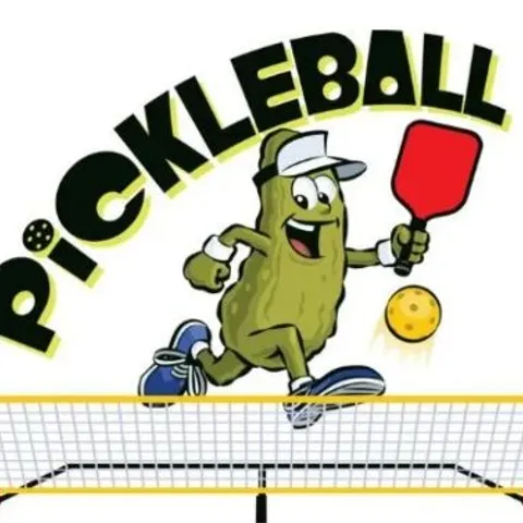Fun & Learn Pickleball Club - Klang Valley