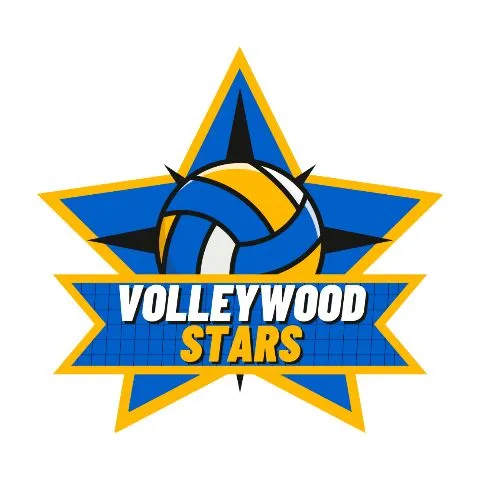 Volleywoodstars