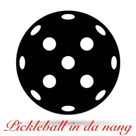 Pickleball international