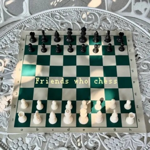 Friends Who Chess