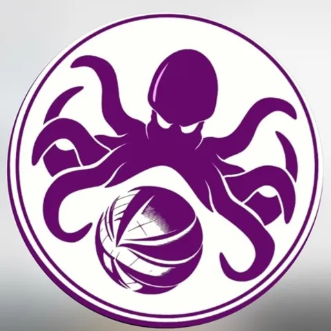 Octopus Volleyball Club