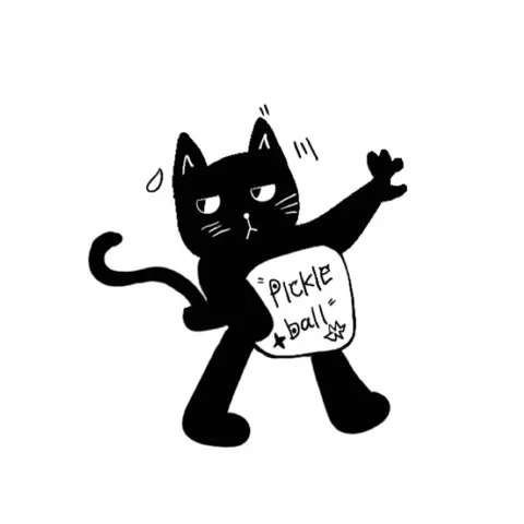 Pickleball 有球必in 