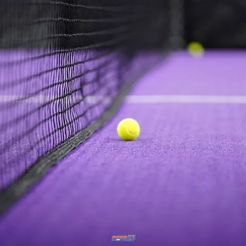 Padel Ditbis Mitratel