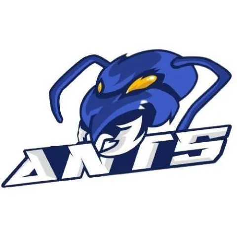 Cagayan de Oro Flag Football | CDO Antz