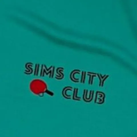 Sims City Table Tennis Ping Pong Club
