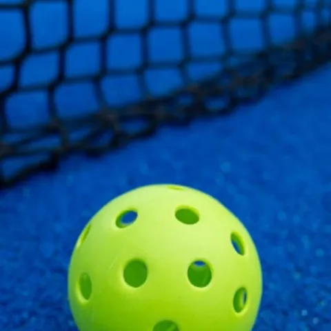 Singapore Achievers Pickleball Network 