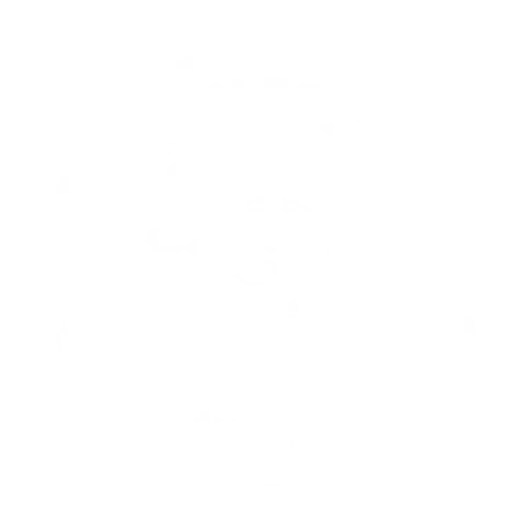 Pickleplex Ravenhall