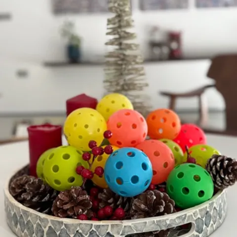 Lifenet Pickleball (Tokyo) 