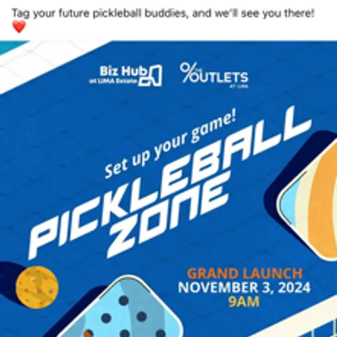 Pickleball Zone at Biz Hub