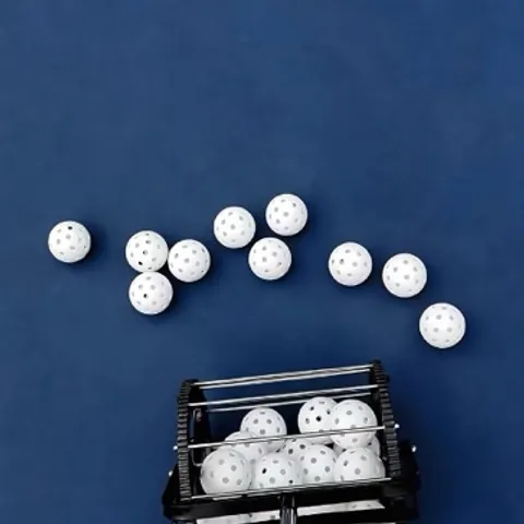 Peace & Love Pickleball Club (PLPC)