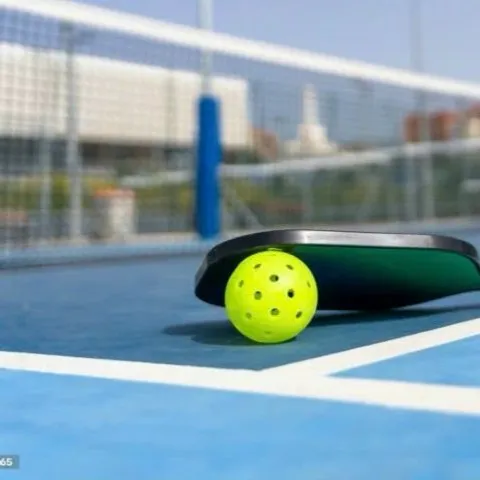 Pickle Ball K99 
