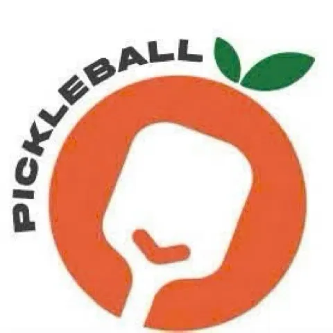 Orange Pickle Ball