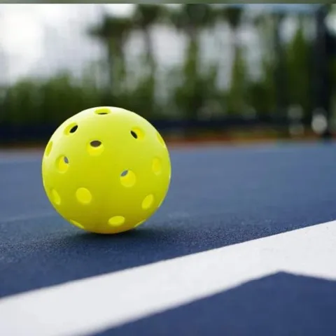 Pickleball Club