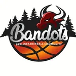 Berlin Basketball