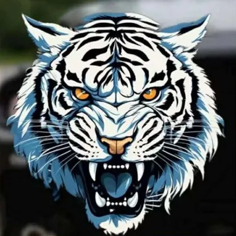 Amigo's Basketball Team