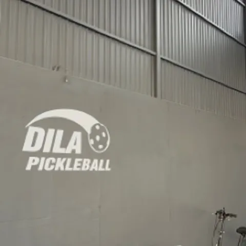 Dilapickleball