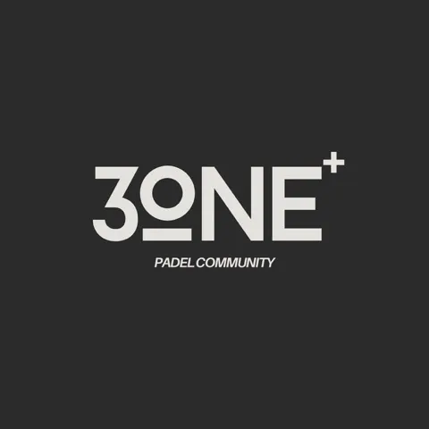 3 ONE Plus