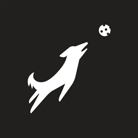 Pickle Republic x Franklin