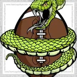 Vipers Flag Football