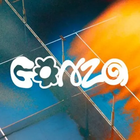 Gonzo