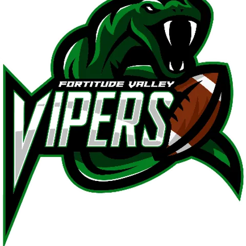 Fortitude Valley Vipers 🐍