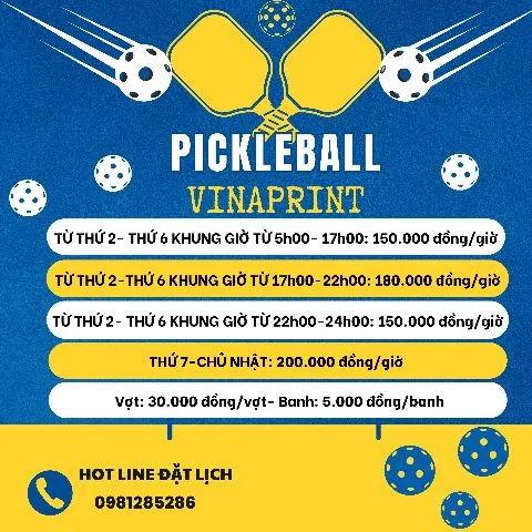 Vinaprint Pickle ball