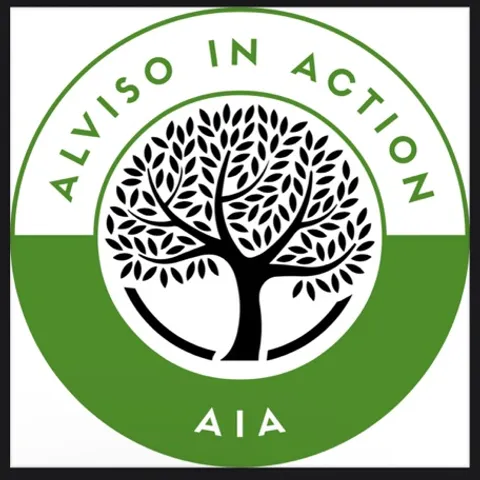 Alviso in Action volleyball