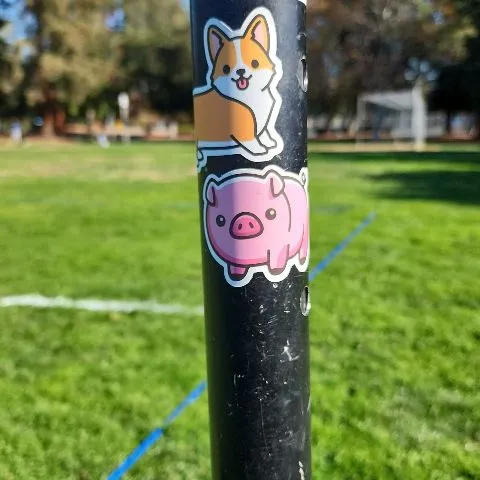 Volleyball Club for people who want to pass and hit good