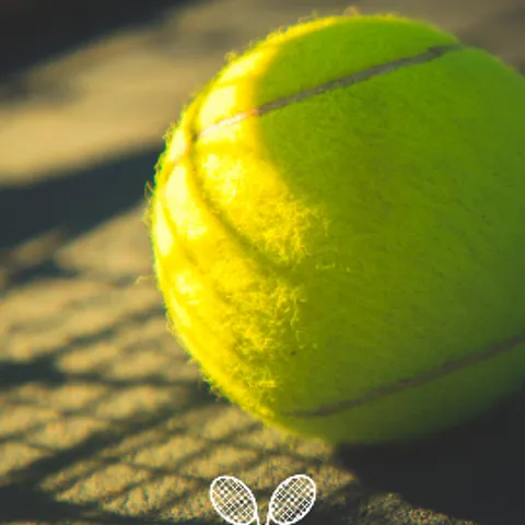 Meteor Garden Tennis Club