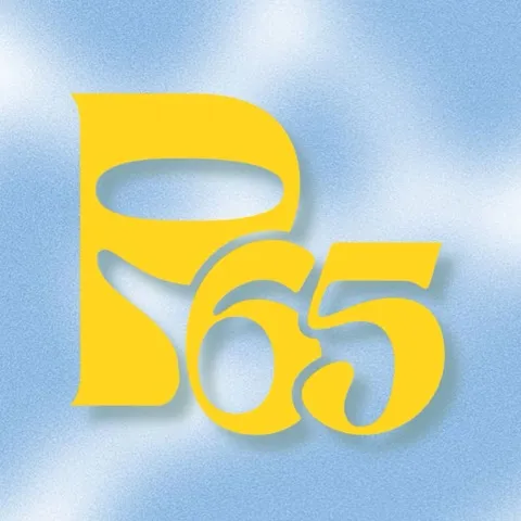 Project 65