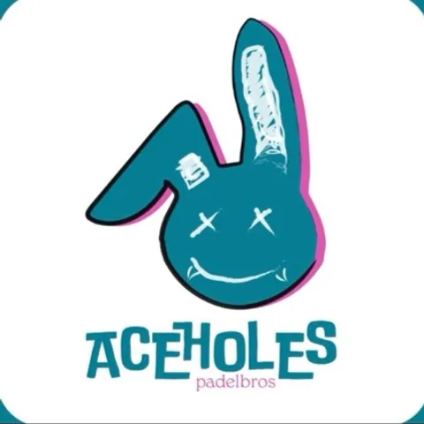 Aceholes2