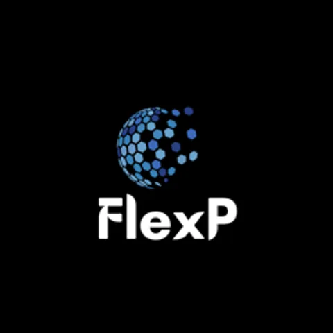 FlexP Pickleball