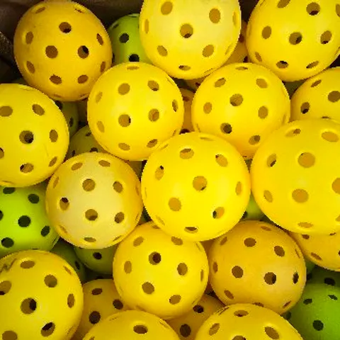 PickleOne