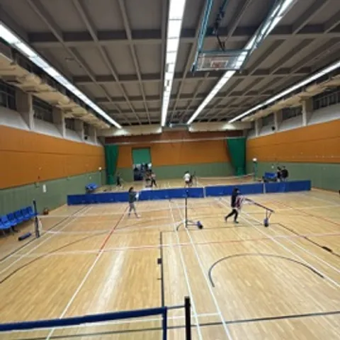 荃灣大窩口青衣長沙灣pickleball