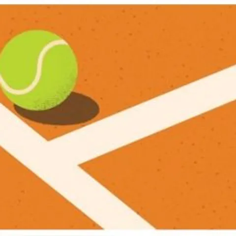 (CHS) Clean Hit Society 