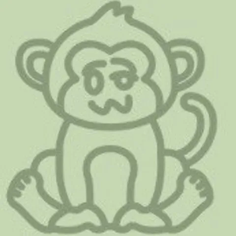 Monkey Padel