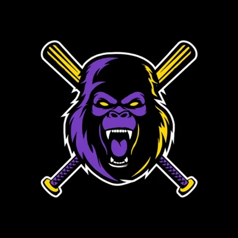 Pejaten Barat Gorillas