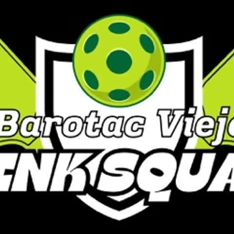 Barotac Viejo Dink Squad