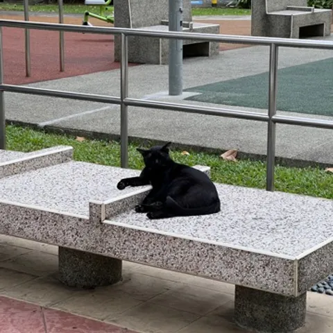 Marine Parade Pickleball Club