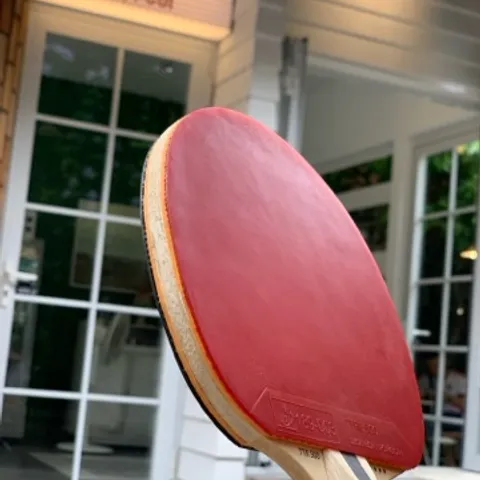 Hybrid Ping Pong - Pickleball club