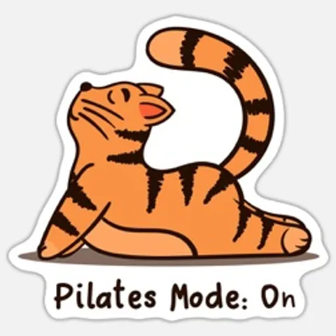 Flex&flow.Pilates 