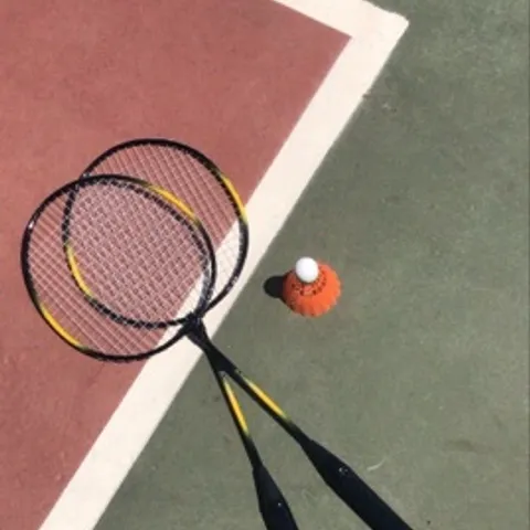 Pandemonium Badminton