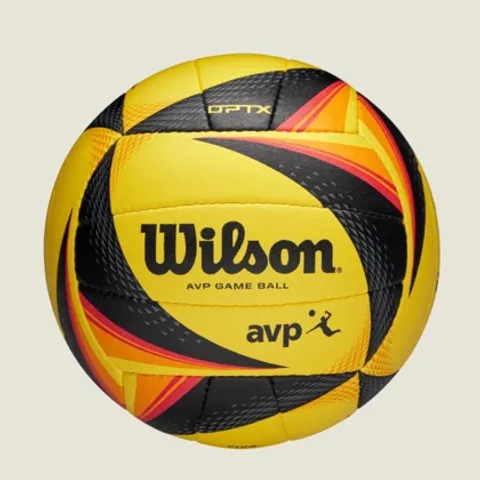 Cultural Diversity Volleyball Social