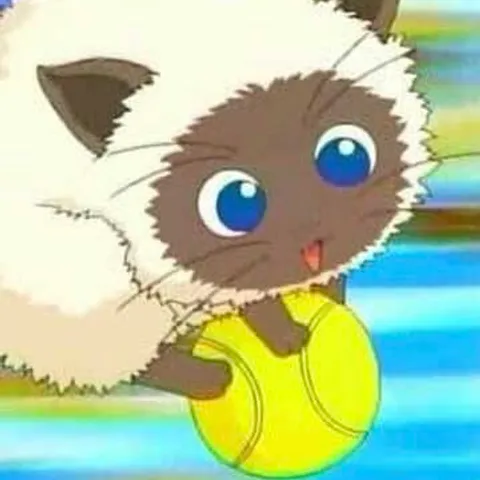 Lawn Tennis - Open Play/ Friendly Games